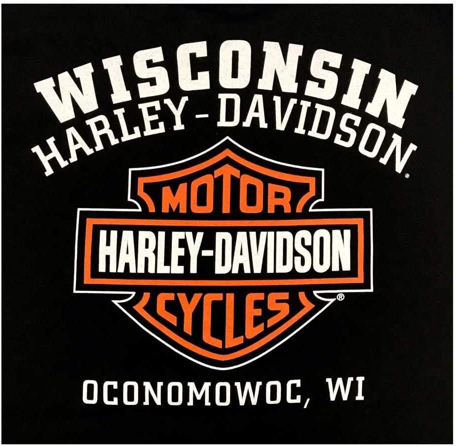 HARLEY-DAVIDSON Classic
