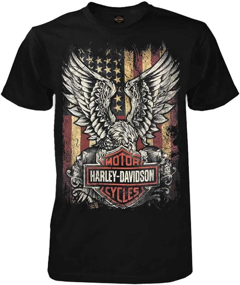 HARLEY-DAVIDSON Classic