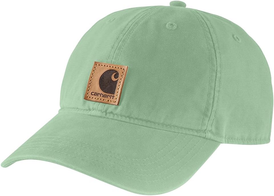 Carhartt unisex - adult Beanie Knit Beanie Hat